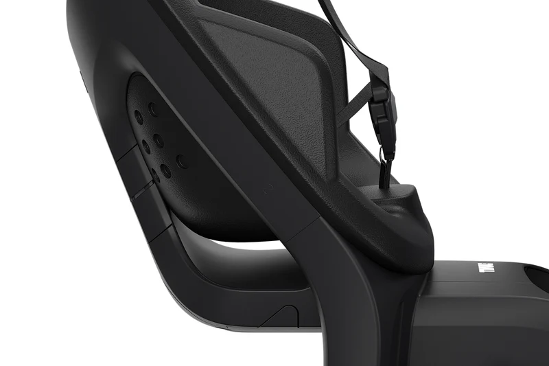 Thule Yepp 2 Maxi child bike seat