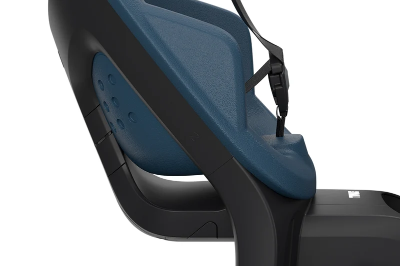 Thule Yepp 2 Maxi child bike seat