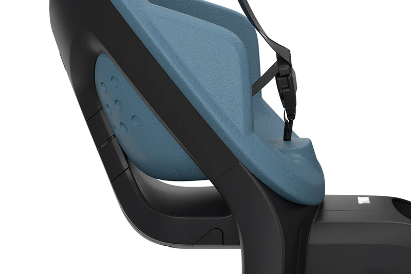 Thule Yepp 2 Maxi child bike seat