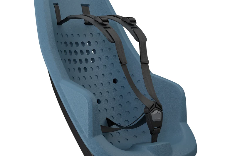 Thule Yepp 2 Maxi child bike seat