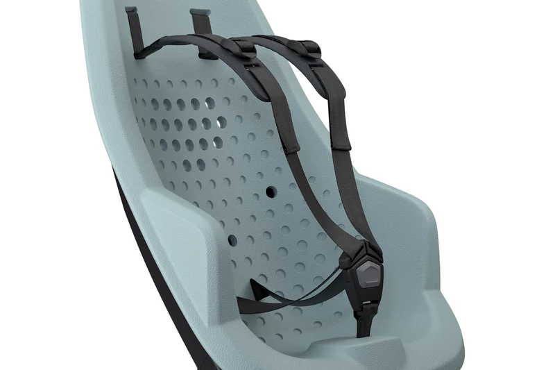 Thule Yepp 2 Maxi child bike seat