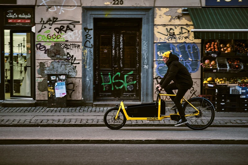 Hagen Bikes Cargo Bike Side Panels