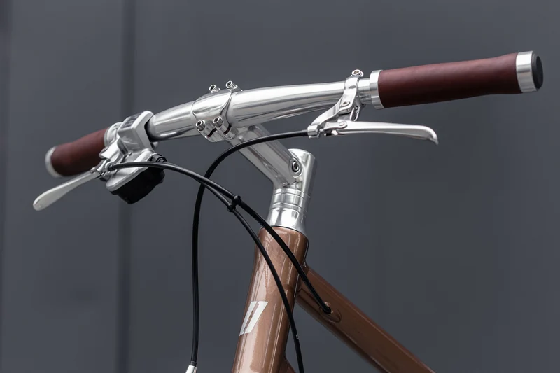 Schindelhauer Lotte XI city bike