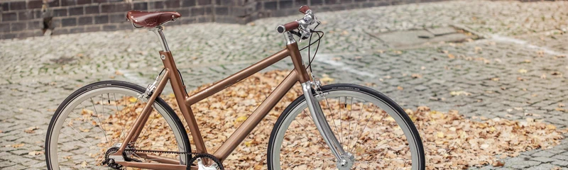 Schindelhauer Lotte XI city bike
