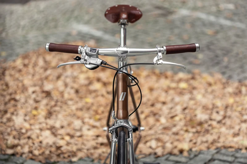Schindelhauer Lotte XI city bike