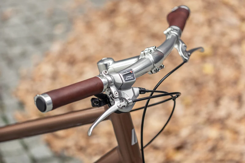 Schindelhauer Lotte XI city bike