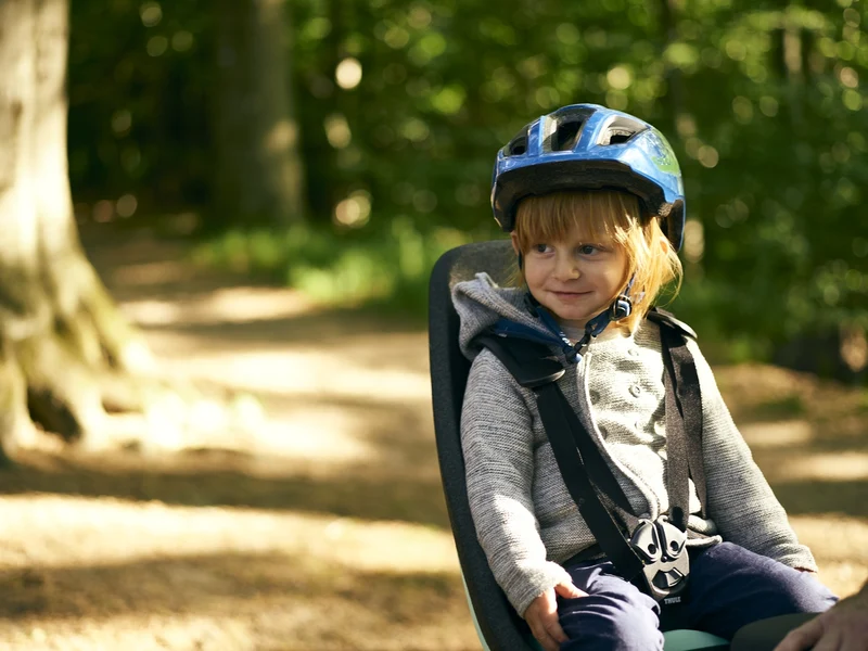 Thule - Yepp Nexxt Maxi - Rear Rack Mounted Child Seat