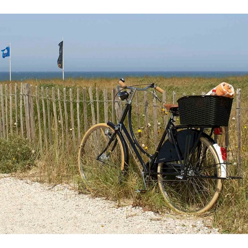 PNA imitation wicker fixed rear basket