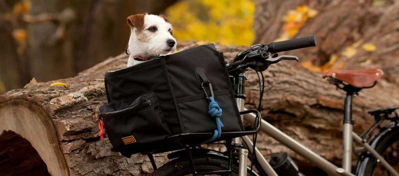 Restrap Rando Bag Large