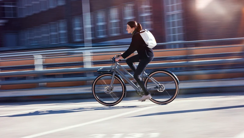 Schindelhauer Greta urban cargo bike