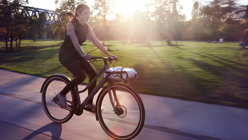 Schindelhauer Greta urban cargo bike