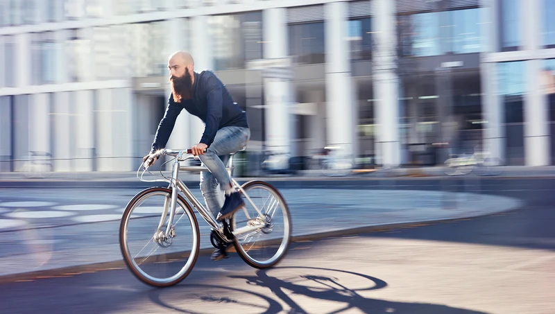 Schindelhauer Wilhelm Pinion P-line bicycle