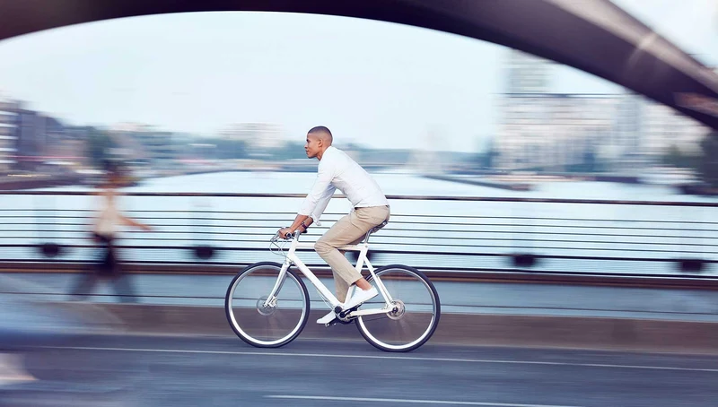 Schindelhauer Wilhelm Pinion P-line bicycle