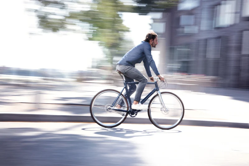 Schindelhauer Wilhelm Pinion C-line bicycle