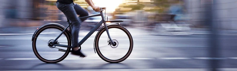 Schindelhauer Gustav urban cargo bike
