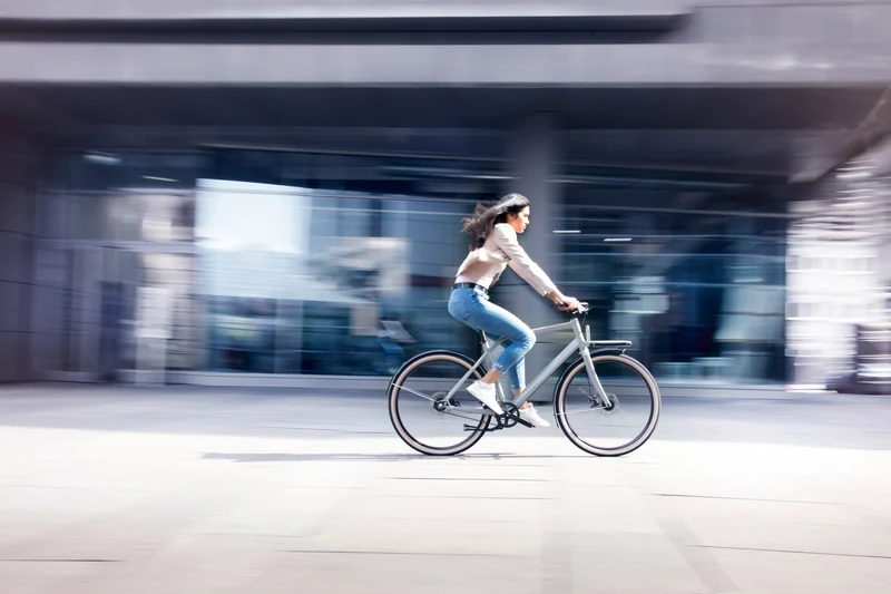 Schindelhauer Gustav urban cargo bike