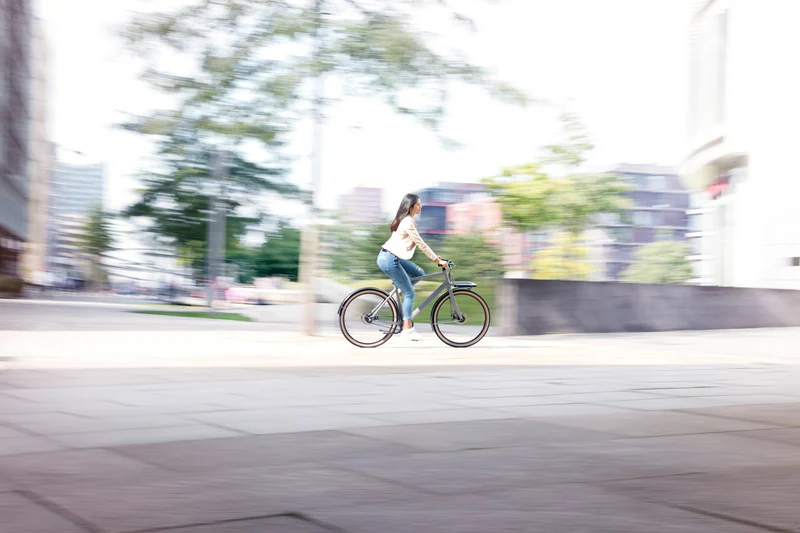 Schindelhauer Gustav urban cargo bike