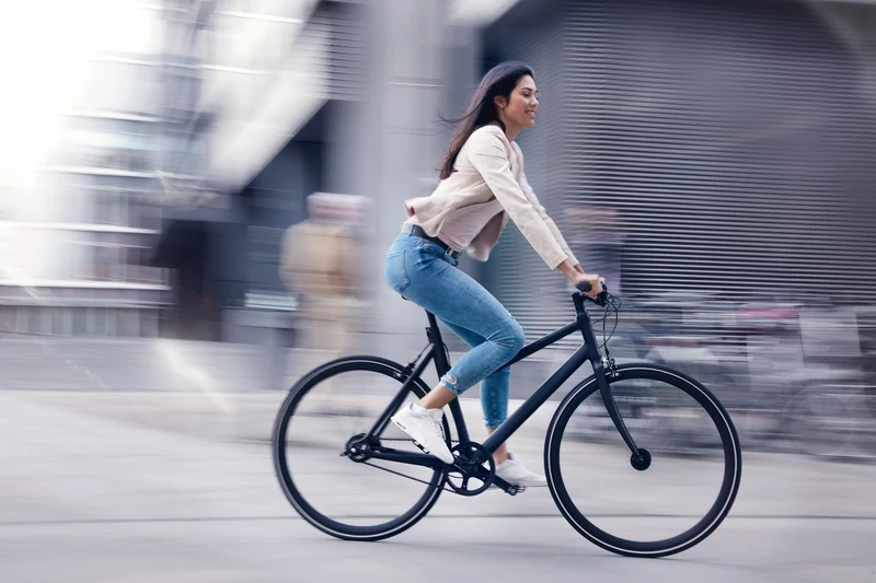 Schindelhauer Lotte city bike