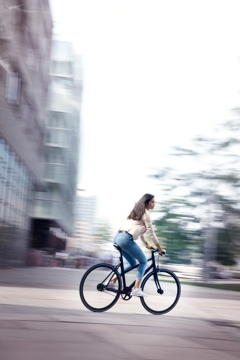 Schindelhauer Lotte city bike