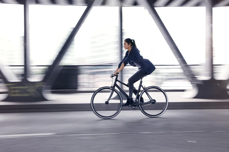 Schindelhauer Lotte city bike