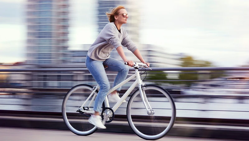 Schindelhauer Lotte city bike