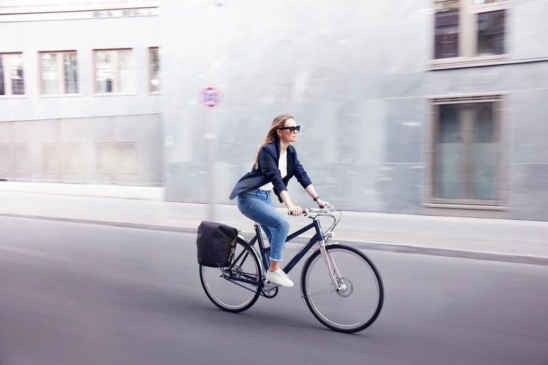 Schindelhauer Frieda city bike