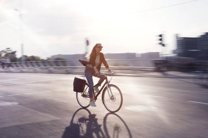 Schindelhauer Frieda city bike