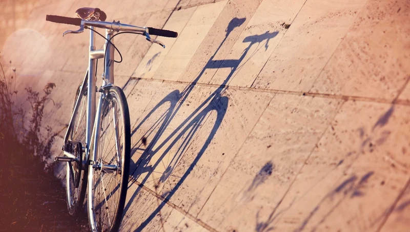 Fixie Bike / Singlespeed Schindelhauer Siegfried