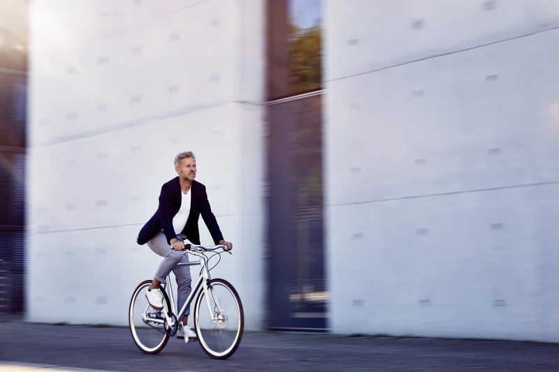 Schindelhauer Wilhelm XIV city bike