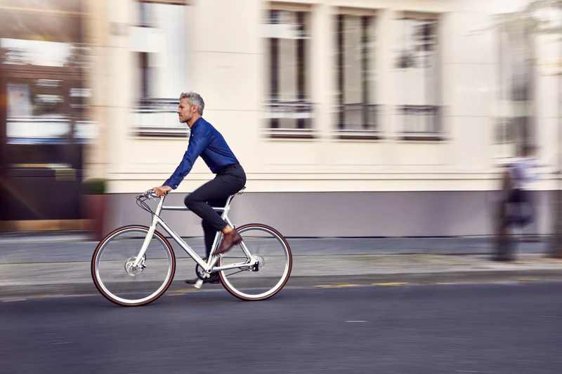 Schindelhauer Wilhelm XIV city bike