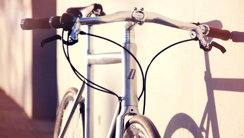 Schindelhauer Wilhelm XIV city bike