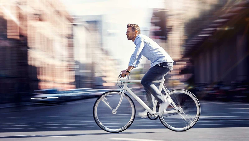 Schindelhauer Ludwig VIII city bike