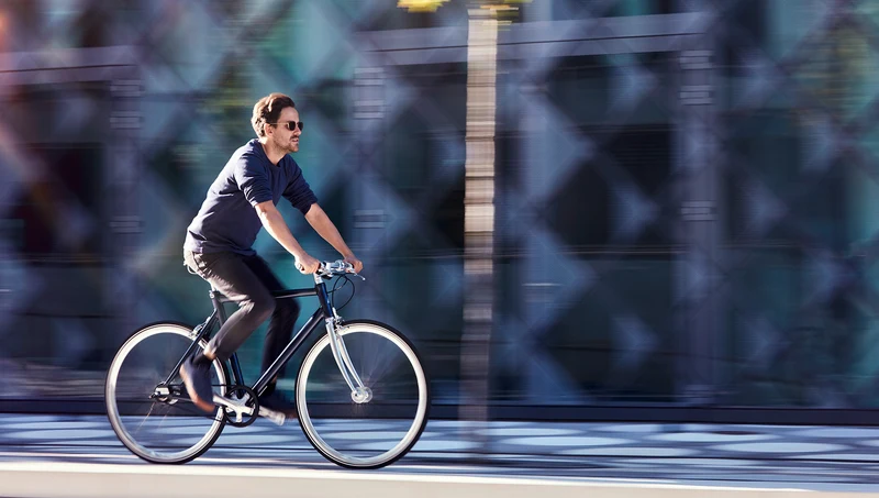 Schindelhauer Ludwig VIII city bike