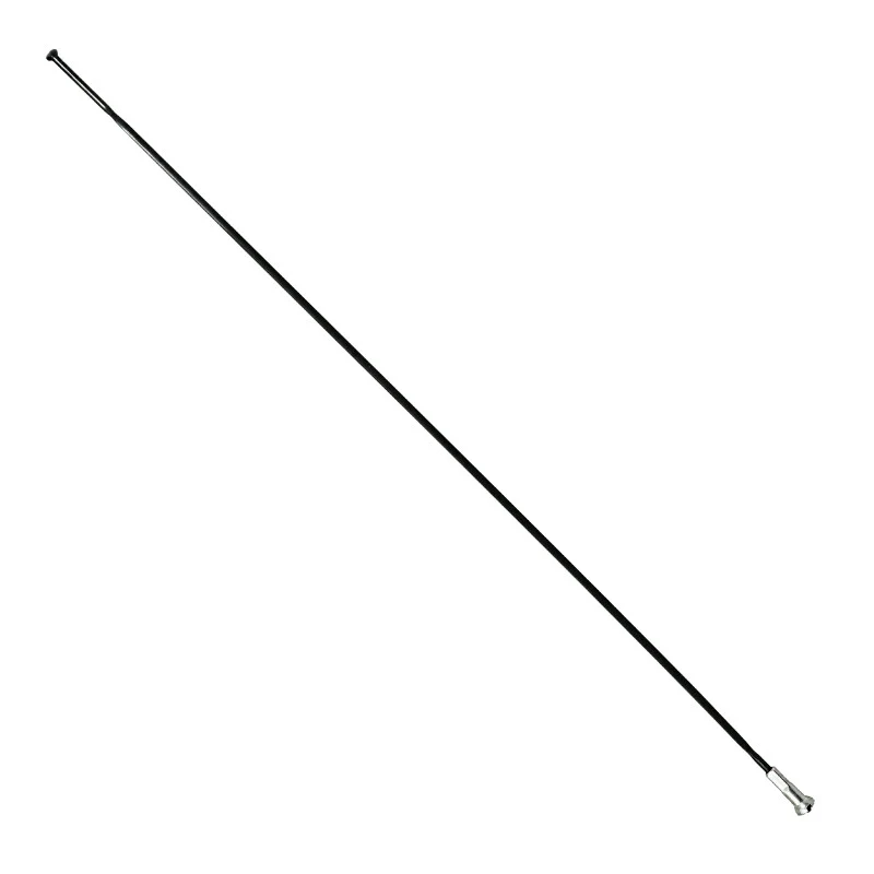 Rayon INOX Noir Plat (2,2 X 0,09 mm) Tête Droite 2 mm L 276 mm Sapim Cx-Ray Avec Écrou (Vendu A L'Unite)