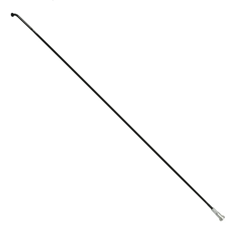 Rayon INOX Noir Plat (2,2 X 0,09 mm) Tête Coudée 2 mm L 252 mm Sapim Cx-Ray Avec Écrou (Vendu A L'Unite)