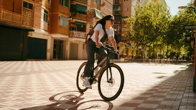 Vélo électrique Desiknio Serotonin Pinion 1.9