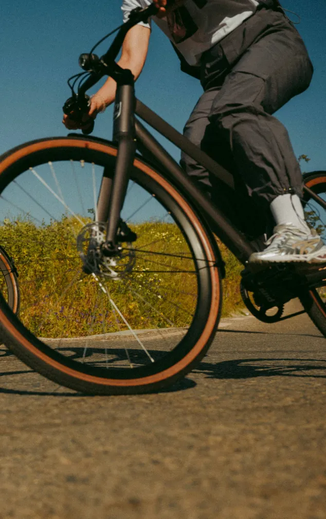 Vélo électrique Desiknio Serotonin Pinion 1.9