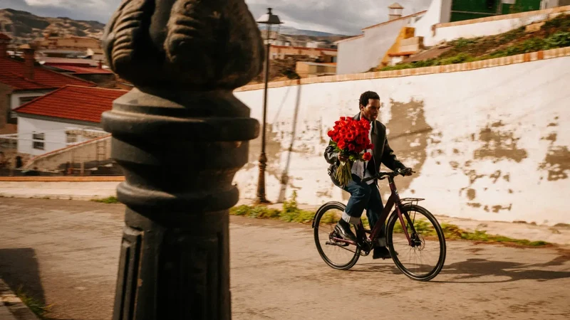 Vélo électrique Desiknio Oxytocin Pinion 1.9