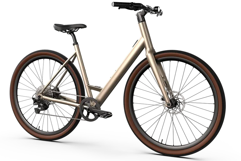 Vélo électrique Desiknio Oxytocin 11-Speed