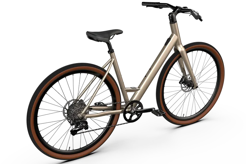 Vélo électrique Desiknio Oxytocin 11-Speed
